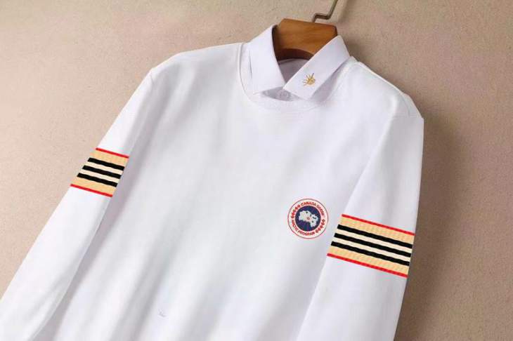 Picture of Canada Goose Sweatshirt _SKUCanadaGooseM-3XL12yx0331098